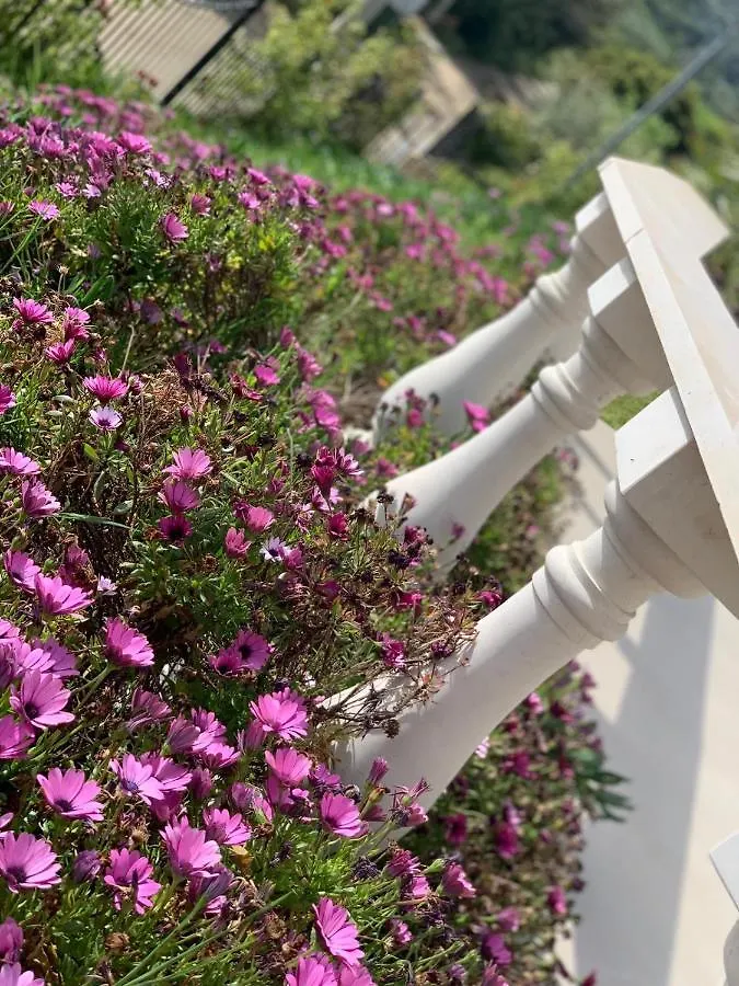 Palms Luxury Greek Villas 1 CChanioti  Chanioti