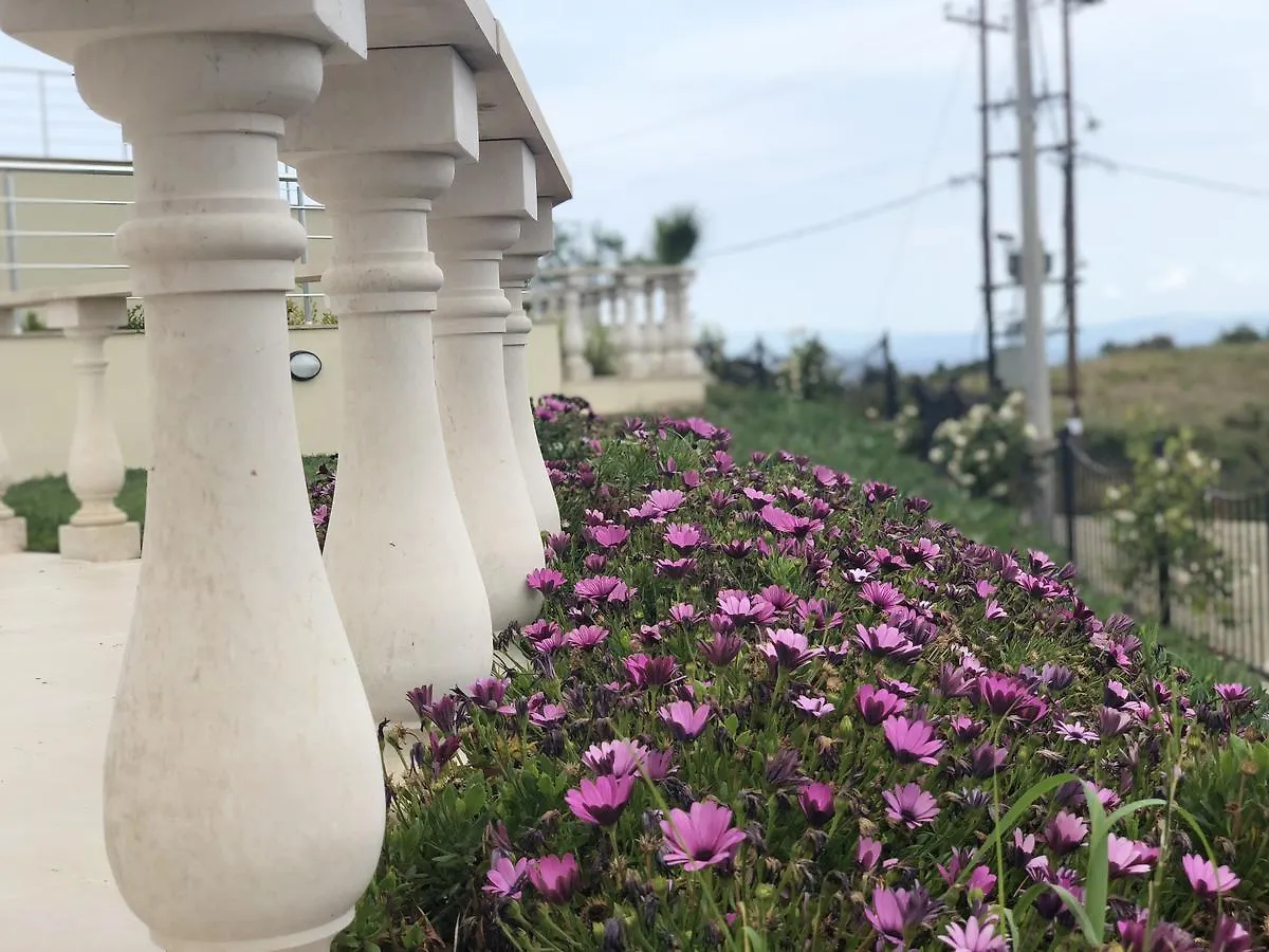 Palms Luxury Greek Villas 1ハニオティス